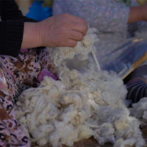 تبدأ الرحلة باختيار أجود أنواع الصوف الطبيعي