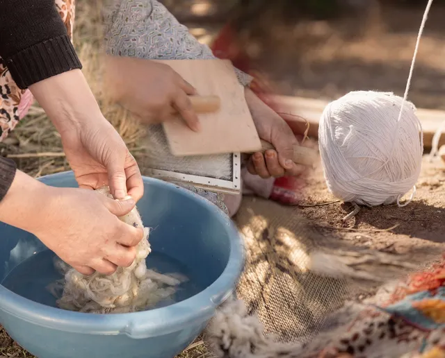 Hands washing wool beside carding combs and a ball of yarn.