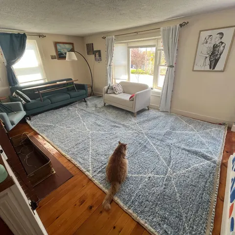A handwoven Moroccan rug in a living room.